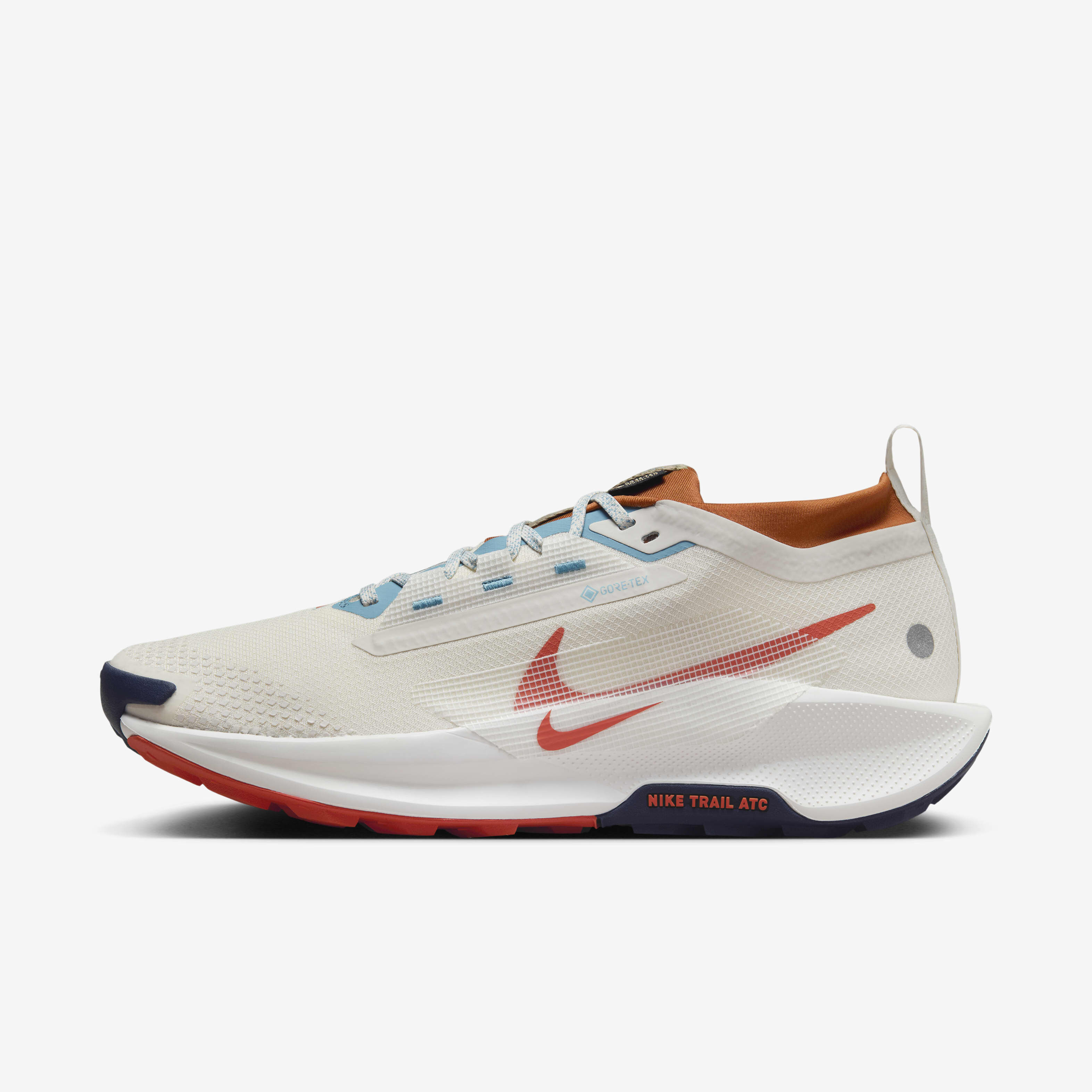 Nike Pegasus Trail 5 GORE-TEX